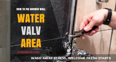 Fixing Shower Wall Water Valve Area: A Step-by-Step Repair Guide