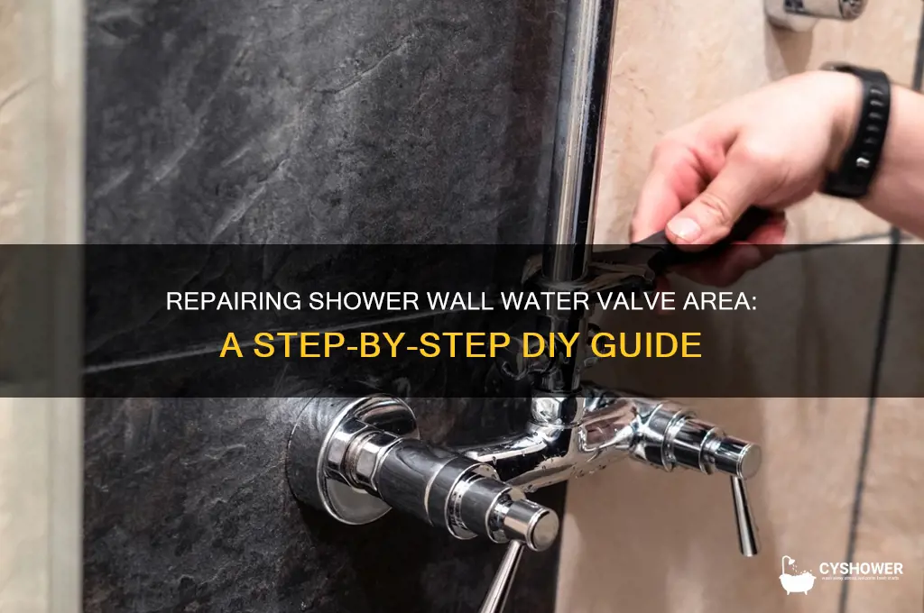 how to fix shower wall water valve area