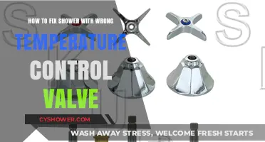 Fix Your Shower: Correcting Temperature Control Valve Issues Easily
