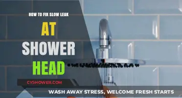 Quick Fixes for a Slow Shower Head Leak: DIY Guide