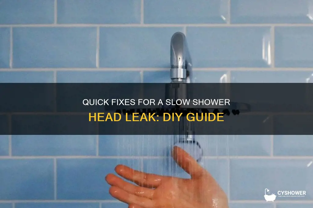 how to fix slow leak at shower head