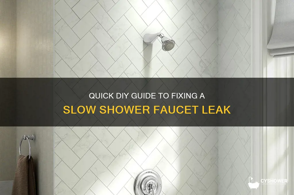 how to fix slow leak in shower faucet