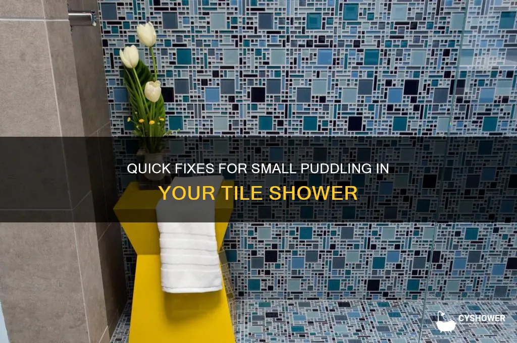 how to fix small puddling in tile shower