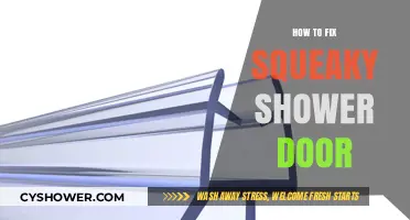 Quick Fixes for a Squeaky Shower Door: DIY Solutions