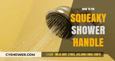 Quick Fix for a Squeaky Shower Handle: DIY Repair Guide
