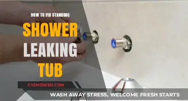 Fix Your Standing Shower Leak: Stop Tub Overflow in Steps