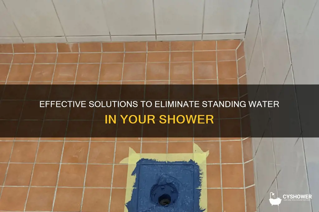 how to fix standing water in shower