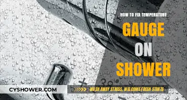 Fix Your Shower Temperature Gauge: Easy DIY Repair Guide