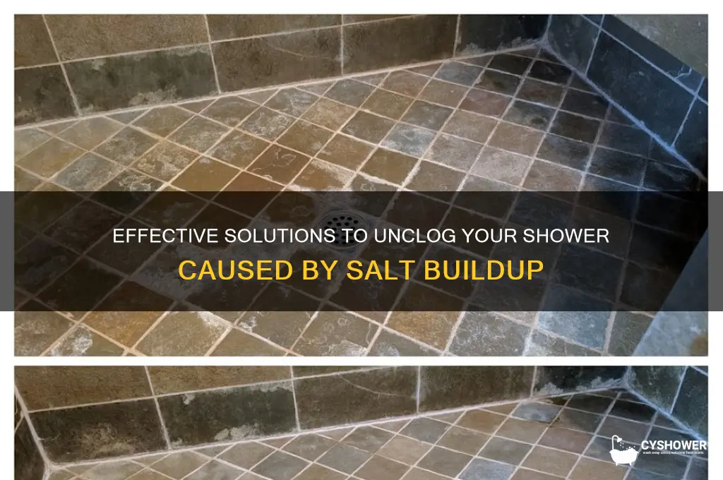 how to fix the clogged shower due to salt