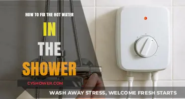 Quick Fixes for Restoring Hot Water in Your Shower