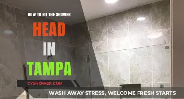 Tampa Shower Head Repair: Quick DIY Fixes for Clogged or Leaky Heads