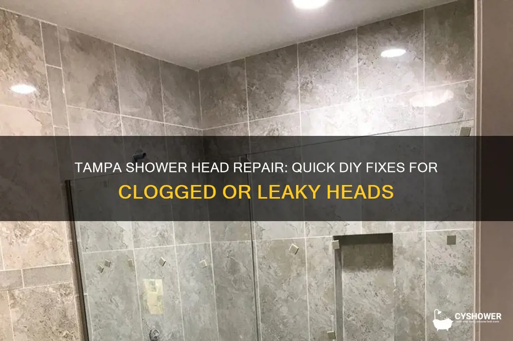 how to fix the shower head in tampa