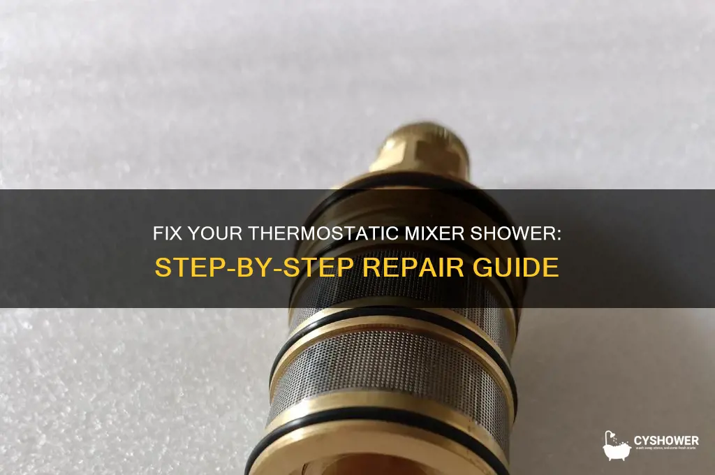 how to fix thermostatic mixer shower