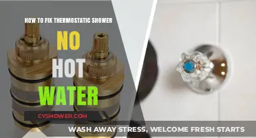 Fixing Thermostatic Shower: No Hot Water Troubleshooting Guide