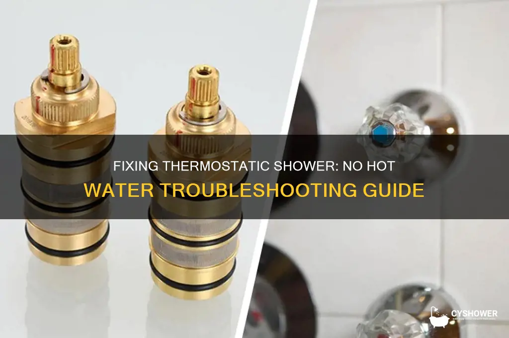 how to fix thermostatic shower no hot water