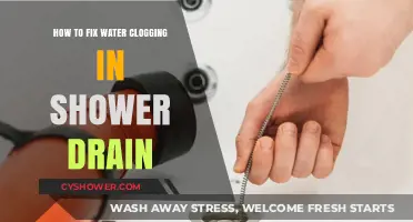Quick Fixes for Clearing Stubborn Water Clogging in Shower Drains