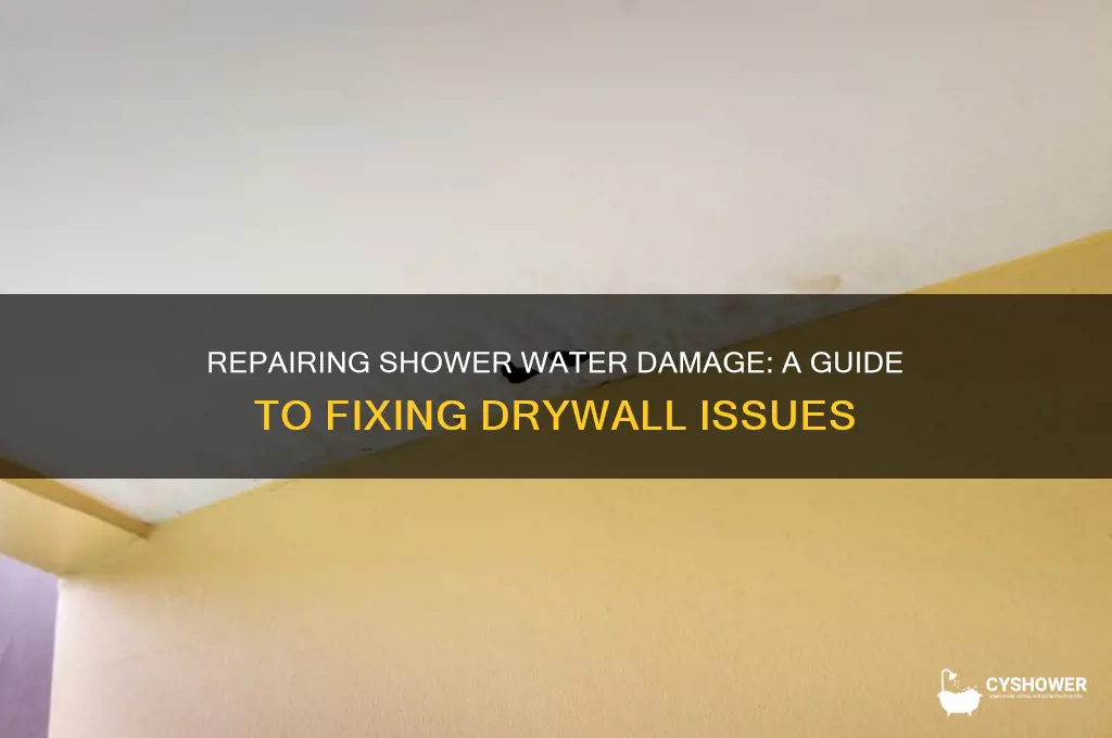 how to fix water damage drywall cause by shower water