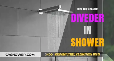 Quick DIY Guide to Repairing Your Shower Water Divider Easily