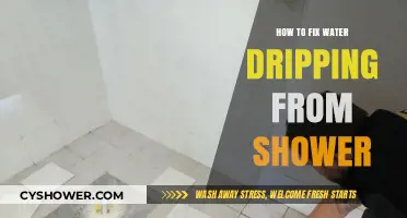 Stop Shower Leaks: Quick Fixes for Dripping Water Issues