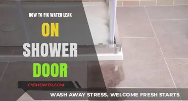 Quick DIY Guide to Fixing a Leaky Shower Door