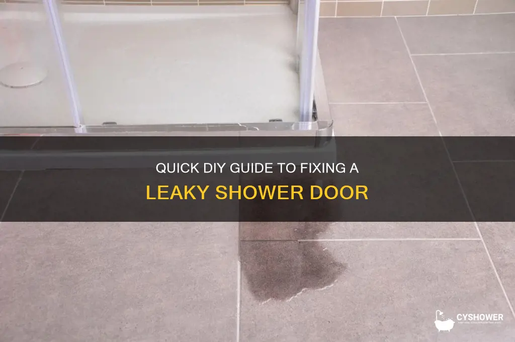 how to fix water leak on shower door