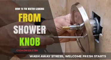 Quick Fix: Stop Water Leaking from Your Shower Knob Easily