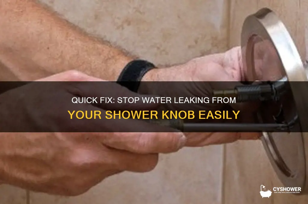 how to fix water leaking from shower knob