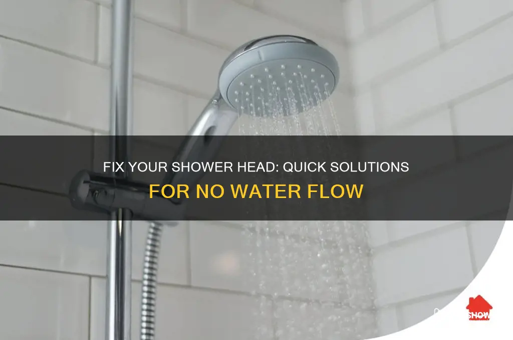 how to fix water not coming out of shower head