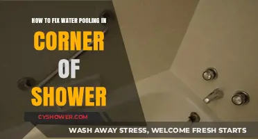 Solve Shower Corner Water Pooling: Quick Fixes and Prevention Tips