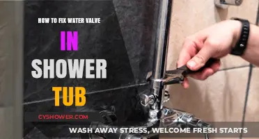 Quick Guide to Repairing Your Shower Tub Water Valve
