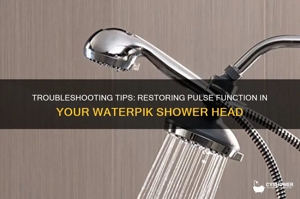 how to fix waterpik massage shower head does not pulse