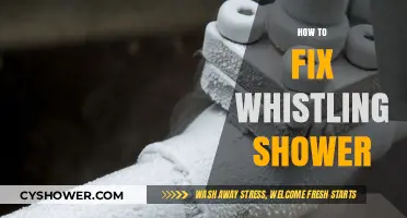 Stop the Annoying Noise: Quick Fixes for a Whistling Shower