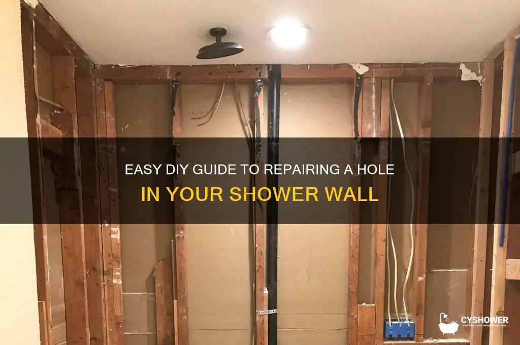 how to fix whole in shower wall