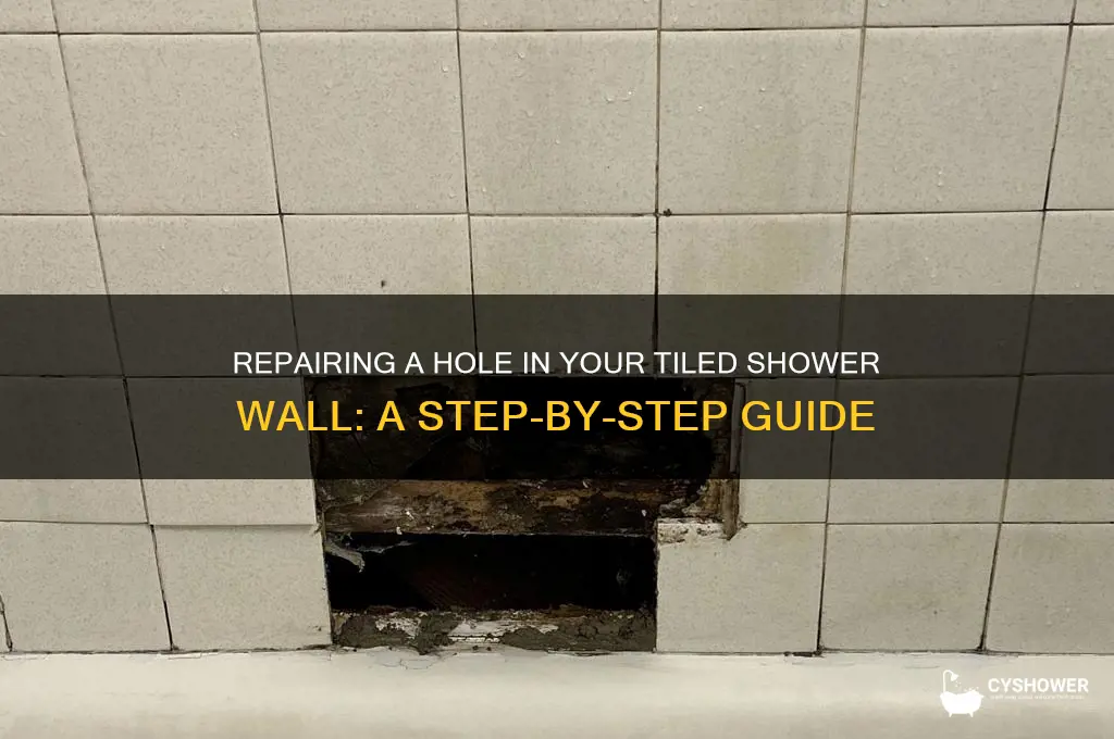 how to fix whole in tiled shower wall