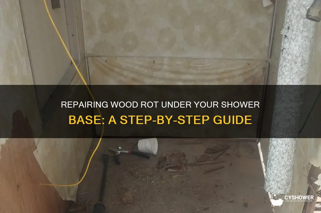 how to fix wood rot under shower base