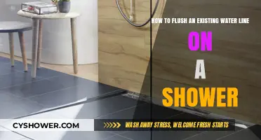 Easy Steps to Flush Your Shower’s Water Line Effectively