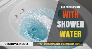 Eco-Friendly Hack: Flushing Toilets with Shower Water for Water Conservation