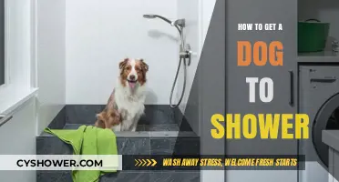 Mastering Bath Time: Tips to Get Your Dog to Shower
