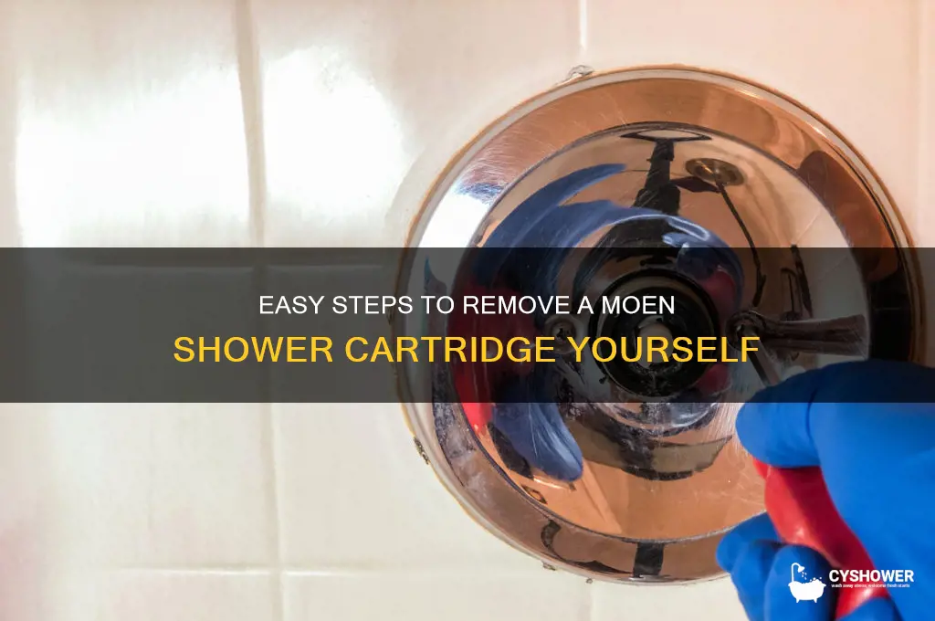 how to get a moen shower cartridge out