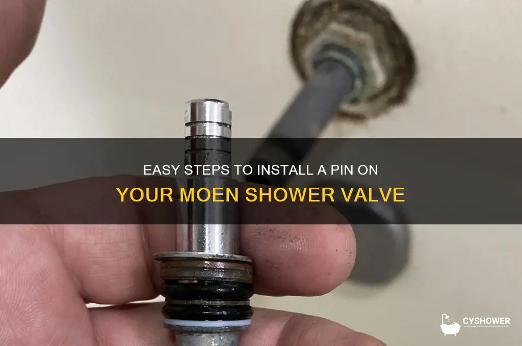 how to get a pin on moen shower