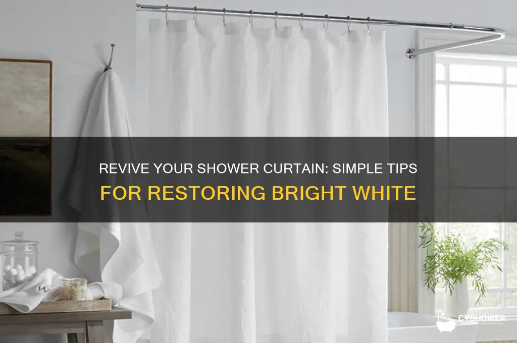 how to get a shower curtain white again