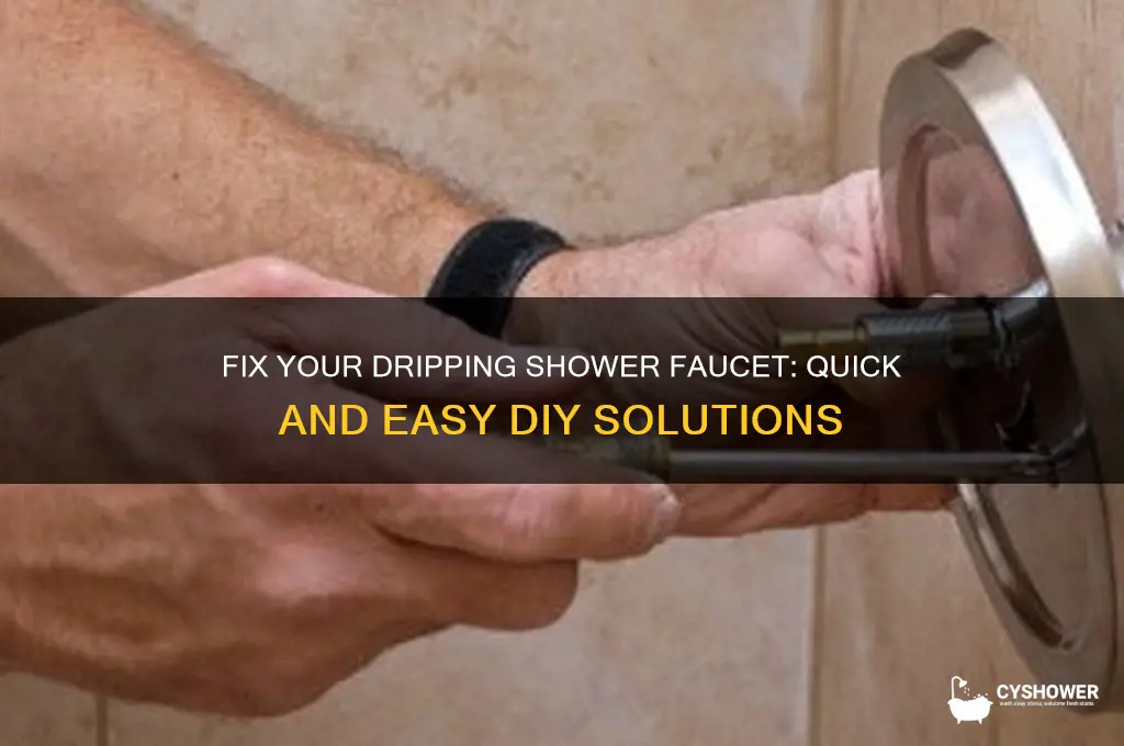 how to get a shower faucet to stop dripping