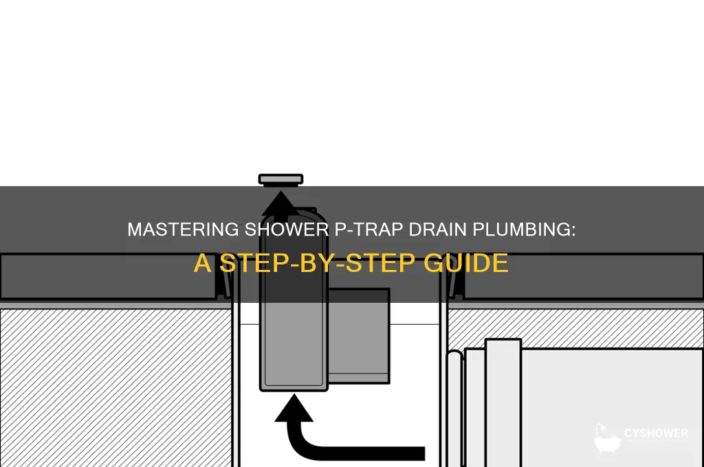how to get a shower p-trap drain plumb