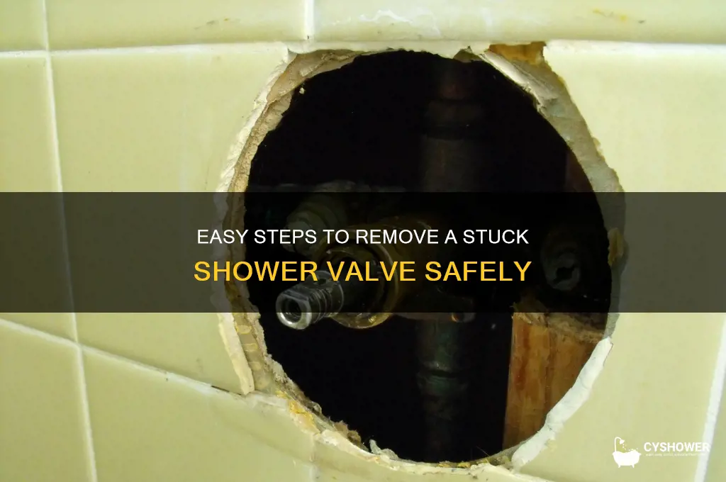 how to get a shower valve out