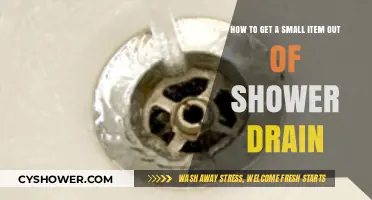 Quick Fixes: Removing Small Items from Your Shower Drain Easily