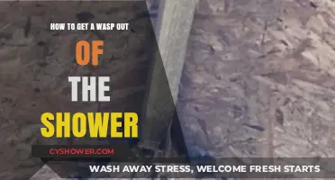 Effective Ways to Safely Remove a Wasp from Your Shower