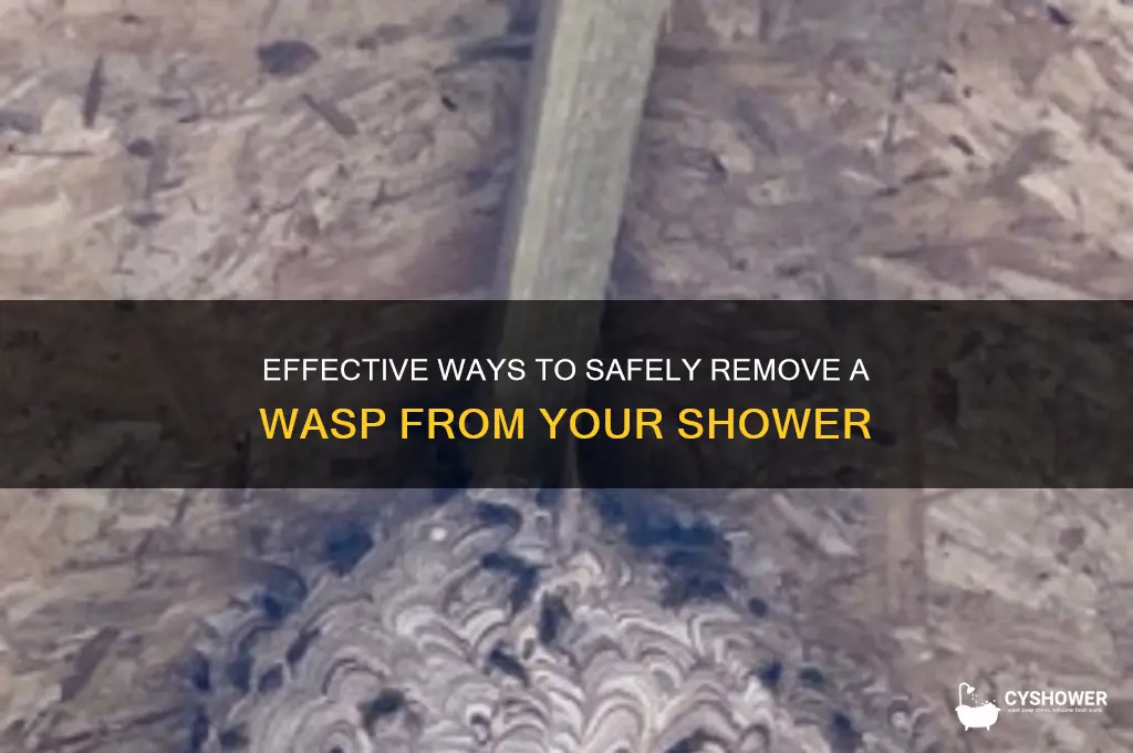 how to get a wasp out of the shower