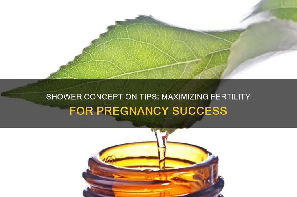 how to get a woman pregnant in the shower