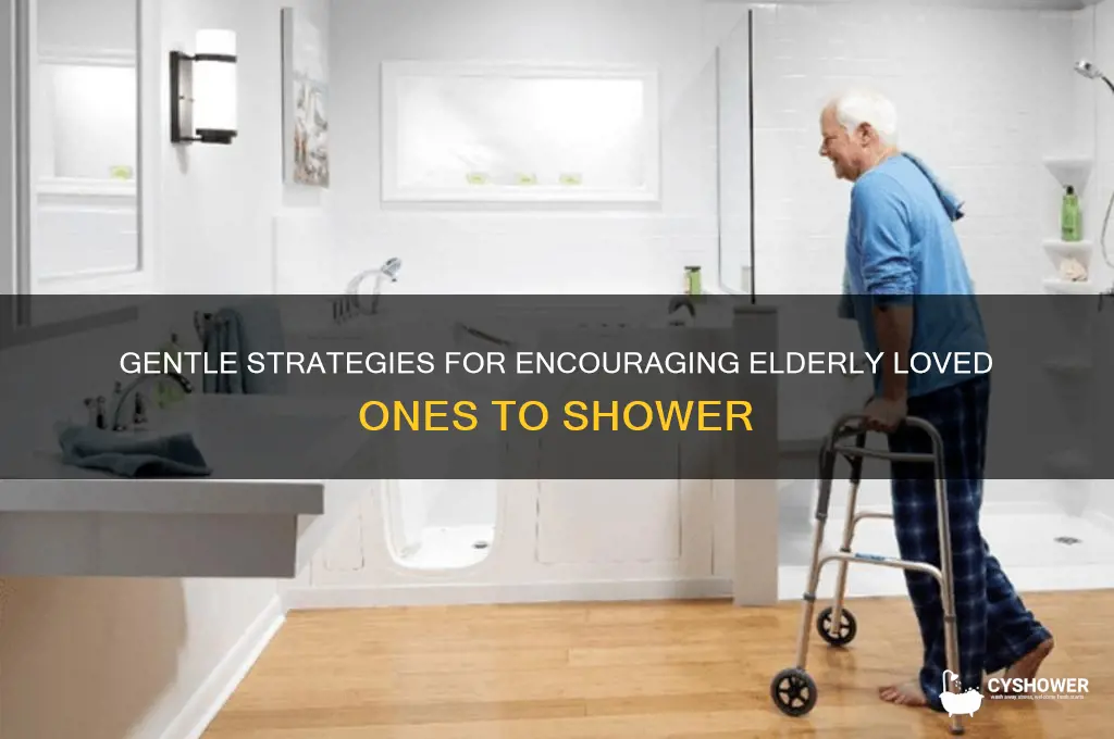 how to get an elderly person to shower