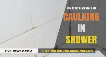 Effective Ways to Remove Black Mold from Shower Caulking